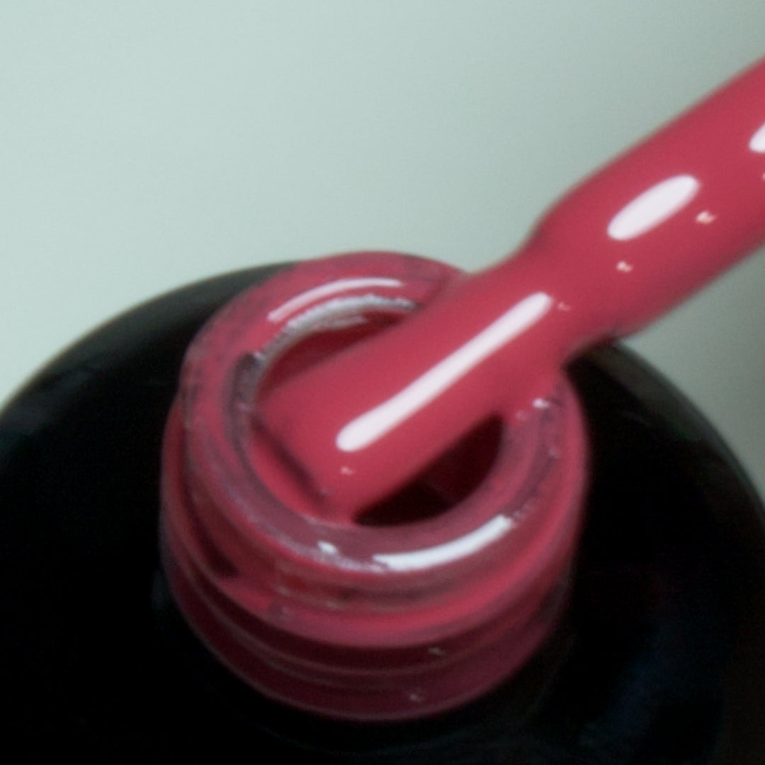 Colour gels, whole set