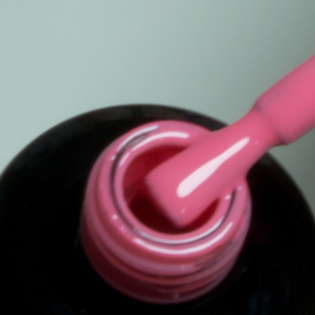 Colour gels, whole set