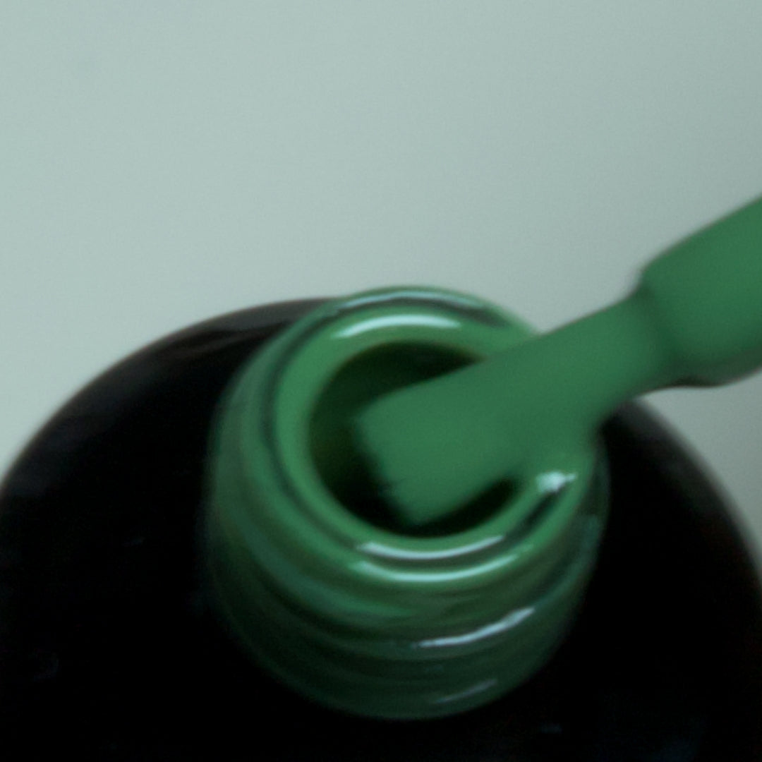 Colour gels, whole set
