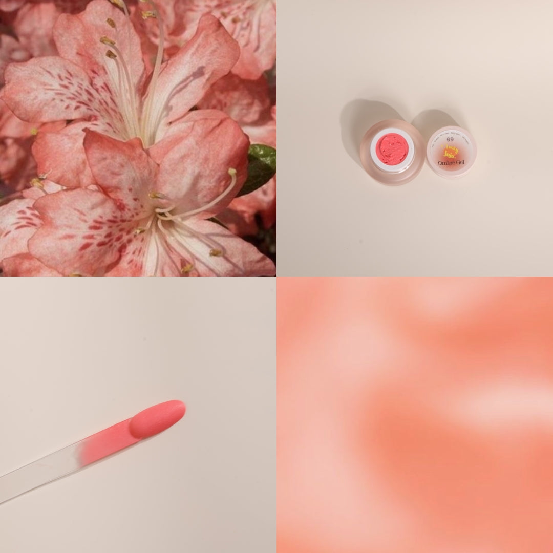 Ombré Gel 09 Coral Blush